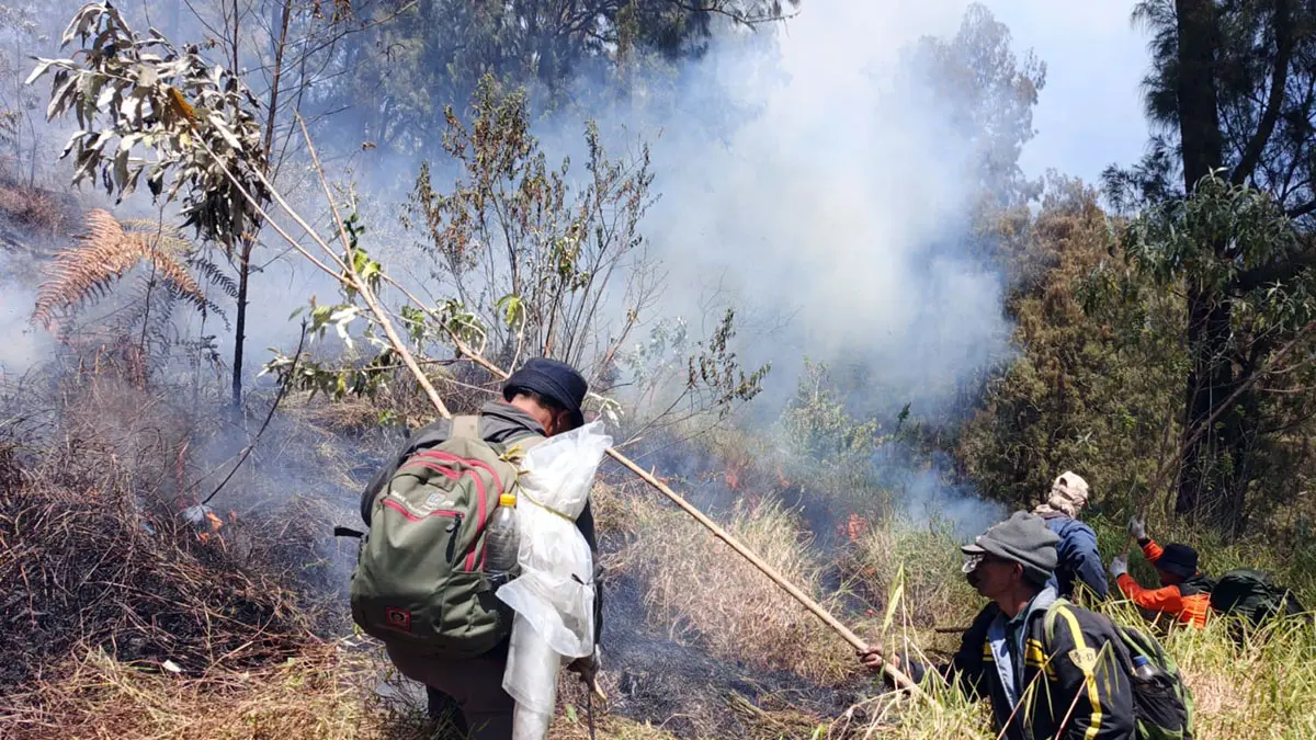 Upaya tim pemadam kebakaran hutan saat berusaha untuk menjinakkan api yang melalap lereng Gunung Arjuno.