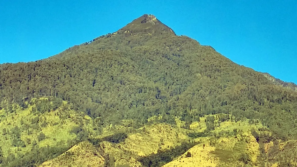 ASAP TAK TERLIHAT: Kawasan puncak gunung Arjuno. Kepulan asap sudah tak terlihat di blok alas Lali Jiwo.