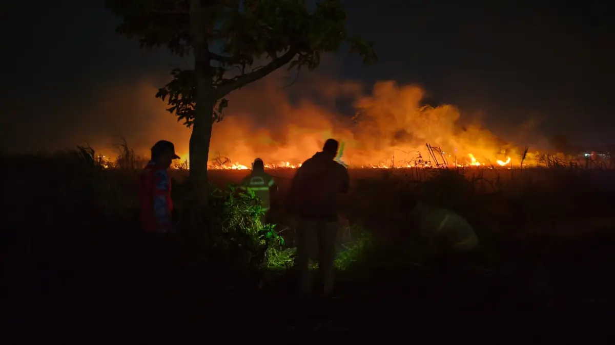 MEMBARA: Api melalap lahan tebu dan jagung yang terbakar di Kelurahan Kareng Lor, Kecamatan Kedopok, Kota Probolinggo Kamis (17/9) malam. (DAMKAR SATPOL PP KOTA PROBOLINGGO FOR JAWA POS RADAR BROMO)