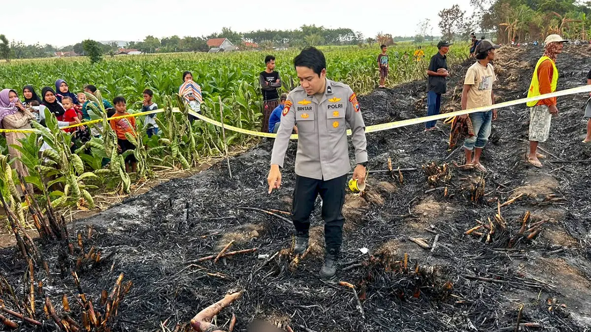 MASIH DIDALAMI: Kakek Zainudin warga Desa Liprak Wetan, Kecamatan Banyuanyar ditemukan meninggal dunia dengan kondisi hangus terbakar di ladang tebu yang dibakar, Sabtu (19/9).