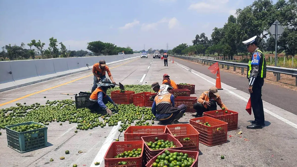 BERHAMBURAN: Petugas gabungan saat mengevakuasi buah jeruk yang berserakan di KM 814.800/B Tol Probolinggo-Pasuruan. (PJR 4 Polda Jatim for Radar Bromo)
