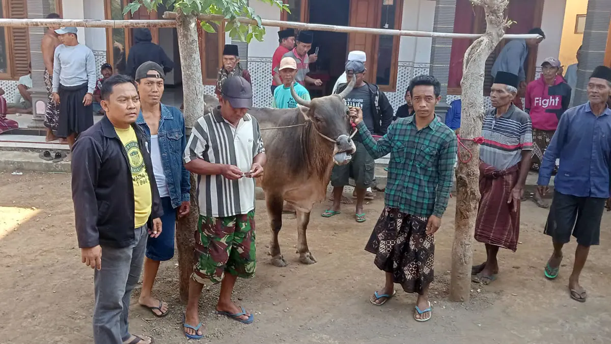 DIAMANKAN: Anggota Polsek Bantaran bersama Perangkat Desa Besuk dan korban mengambil sapinya di Mapolsek Leces, Polres Probolinggo, Minggu (20/9).