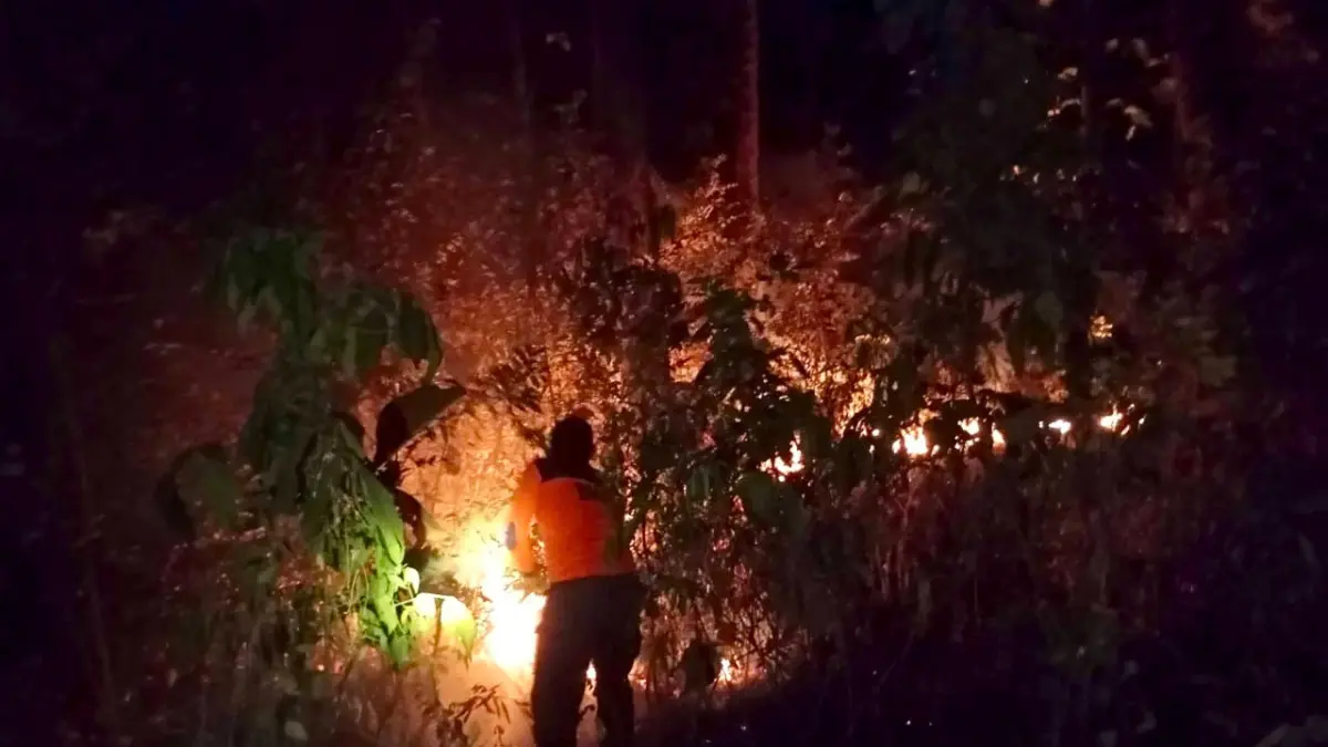 MEMBARA: Tim gabungan memadamkan karhutla di Petak 24a RPH Klenang, Desa Liprak kidul, Kecamatan Banyuanyar.&nbsp;(RPH KLENANG FOR JAWA POS RADAR BROMO)