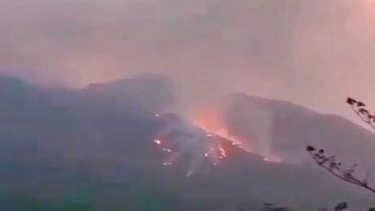 MEMBARA: Koban api muncul di Gunung Lemongan Petak 12 RPH Ranuyoso, Kabupaten Lumajang, Jumat (9/10). (POLSEK TIRIS FOR JAWA POS RADAR BROMO)