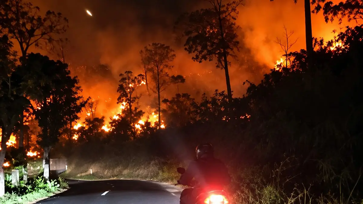 MEMBARA: Kondisi hutan di Sumber yang dilalap api.