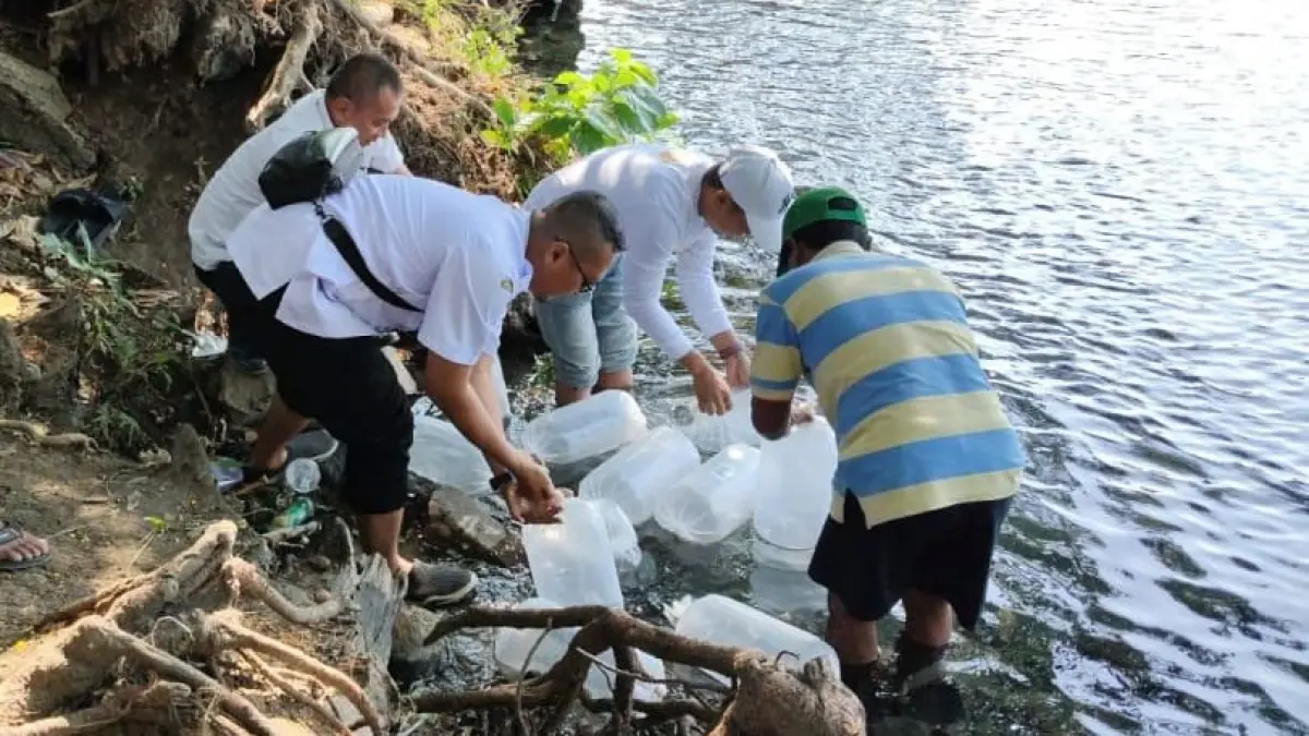 13 Desa Tematik Budi Daya Ikan di Kabupaten Probolinggo Terkendala Lahan