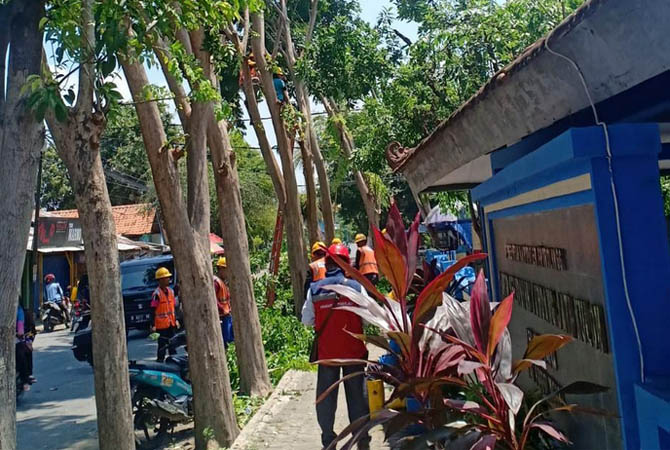 DIPANGKAS: Petugas PLN memangkas pohon tepi jalan. Pemangkasan perlu dilakukan karena pohon kerap mengganggu jaringan. (Foto: Dok. Radar Bromo)