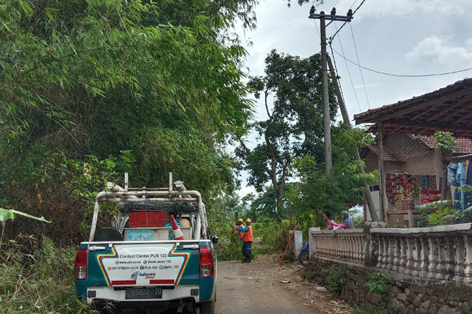 RABAS: Sejumlah pekerja memangkas sejumlah ranting pohon di Kecamatan Gading, Senin (9/11). (Foto: Agus Faiz Musleh/Jawa Pos Radar Bromo)