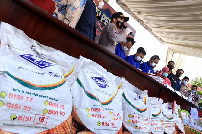 RUGIKAN PETANI: Sejumlah barang bukti (BB) pemalsuan benih jagung unggul Bisi-18, saat dirilis di Polres Pasuruan, Minggu (13/12). Tiga tersangka ditangkap dalam kasus ini. Sementara dua lainnya masih buron. (Foto: M Zubaidillah/Jawa Pos Radar Bromo)