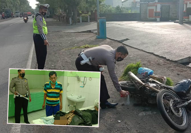 LOKASI KEJADIAN: Personel Unit Laka Satlantas Polres Probolinggo melakukan olah TKP di depan kantor DPRD Kabupaten Probolinggo, Selasa (26/1) pagi. Nampak bibit padi di dekat motor GL Max yang dikendarai korban. Inset, jenazah korban saat masih berada di