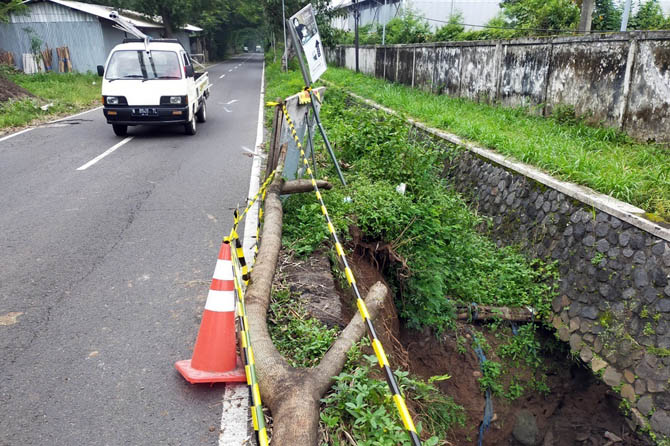 TKP: Petugas Poslantas Sukorejo memberikan garis polisi di sungai tempat korban Suratno, 62, kecelakaan. Yaitu di ruas jalan kabupaten jurusan Jetak â€“ Dayurejo, Dusun Ngemplak, Desa Tanjung Arum, Kecamatan Sukorejo. (Rizal F Syatori/ Radar Bromo)