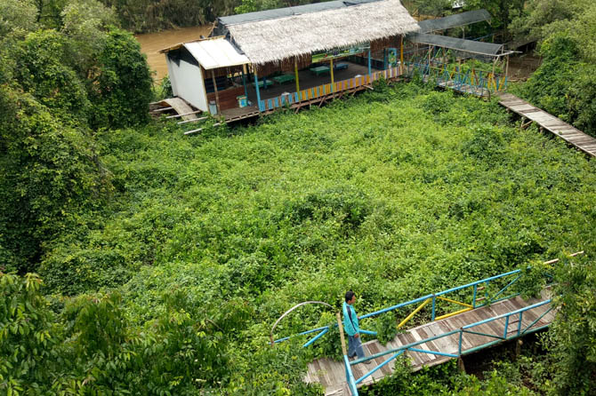 HIJAU: Mangrove di Pateguran Rejoso yang menjadi daya tarik untuk wisatawan. (Foto: Mukhamad Rosyidi/Jawa Pos Radar Bromo)