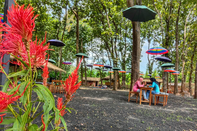 ALAMI: Sejumlah warga berwisata di Hutan Jati Raya Dusun Alas, Desa Liprak Kidul, Kecamatan Banyuanyar. (Achmad Arianto/Jawa Pos Radar Bromo)