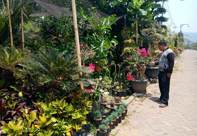 LENGANG: Outlet bunga hias di Ledug, Prigen. (Foto: Rizal F Syatori/Jawa Pos Radar Bromo)