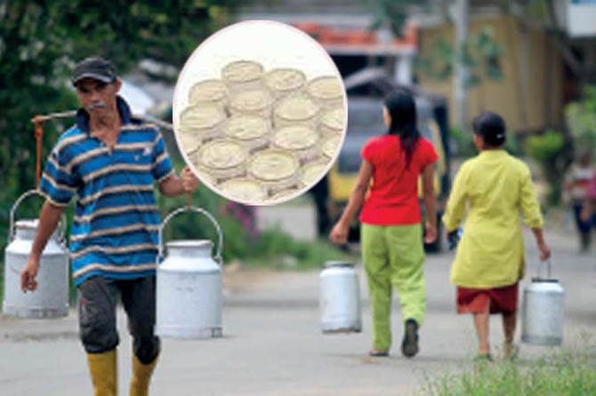 PELENGKAP: Peternak di Krucil membawa hasil perahan susu untuk disetor. Belakangan masyarakat banyak memburu susu murni kemasan yang dianggap mampu meningkatkan vitalitas. (Foto: Dok. Radar Bromo)