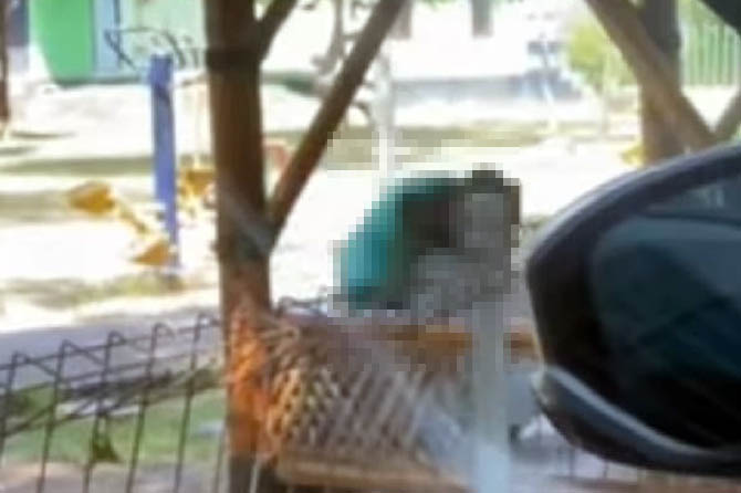 VIRAL: Screenshoot diduga remaja asyik bercumbu di salah satu sudut Taman Maramis Kota Probolinggo.