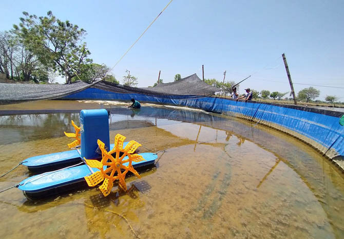 PAKAI TEKNOLOGI: Pengelolaan tambak udang milik Agus Amirudin yang pakai alat modern. (Foto : Iwan Andrik/Jawa Pos Radar Bromo)
