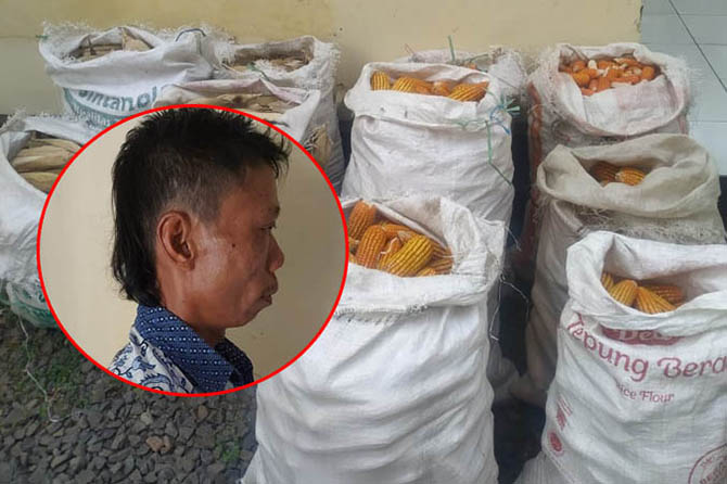 BANYAK: Sejumlah karung berisi beras yang dicuri Nur Salim (inset). (Foto: Istimewa)