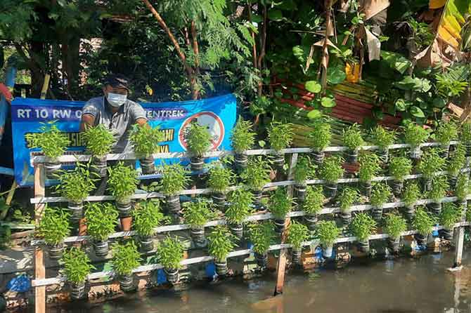 HIJAU: Inovasi tanaman sayur di tepi sungai di RT 10 RW 02 Kelurahan Pohjentrek, Kecamatan Purworejo. (Foto: Fahrizal Firmani/Jawa Pos Radar Bromo)