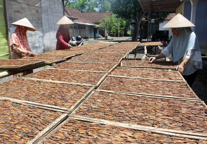 PENGERINGAN: Wasilah Barsah, owner UMKM Sale Pisang Barsah bersama karyawannya saat menjemur sale pisang di halaman rumahnya. (Foto: Jamaludin/Jawa Pos Radar Bromo)