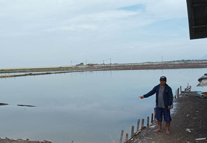 JADI KOLAM: Tambak garam di Kalibuntu yang kini dijadikan kolam budi daya ikan. (Foto: Agus Faiz Musleh/Jawa Pos Radar Bromo)