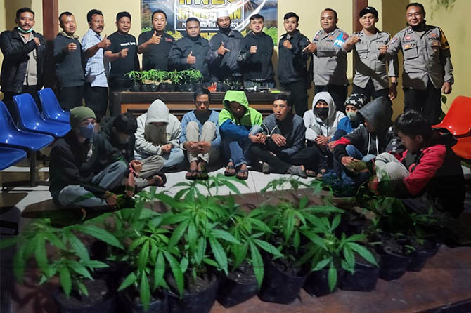 DIAMANKAN: Petugas Polsek Sukapura mengamankan sepuluh orang saat penggerebekan gudang ganja di Wonotoro, Kecamatan Sukapura, Jumat (31/12). Petugas mengamankan 17 pohon ganja berusia 2 bulan dan 22 bibit ganja di pot kecil saat penggerebekan. (Istimewa)