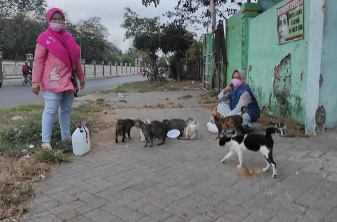 STREET FEEDING: Eka Yanita bersama ibunya memberi makan kucing liar di TPS Purutrejo, Kecamatan Purworejo. (Foto: Fandi Armanto/Jawa Pos Radar Bromo)