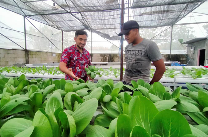 MENGUNTUNGKAN: Muhammad Hadi Yahya saat memberikan arahan kepada karyawannya, Bahtiar di kebuh hidroponiknya. (Foto: Iwan Andrik/Jawa Pos Radar Bromo)