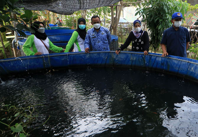 PAKAI TERPAL: Kolam buatan milik warga di Bugul Kidul yang menjadi tempat budi daya ikan air tawar. (Foto: M Zubaidillah/Jawa Pos Radar Bromo)