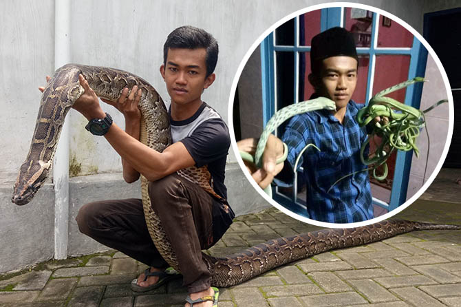 PECINTA REPTIL: Dedy Yusuf Efendi dan reptil peliharaannya. (Foto: Mukhamad Rosyidi/Radar Bromo)