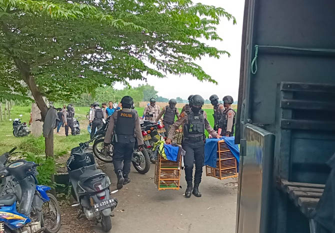 DIAMANKAN: Beberapa kandang merpati warga ditinggal begitu saja karena panik. Kandang pun diamankan, sementara beberapa warga yang ada di tempat didata dan mendapatkan pembinaan dari polisi. (Foto: Polres Probolinggo for Jawa Pos Radar Bromo)