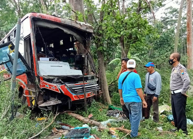 RINGSEK: Kondisi Bus Borobudur usai hilang kendali dan menabrak pohon di tepi jalan raya Tegalsiwalan, Selasa siang (1/2). (Satlantas for Jawa Pos Radar Bromo)