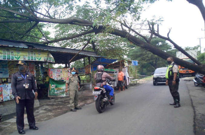 MELINTANG DI JALAN: Pohon trembesi yang tumbang yang mengenai atap warung di Dusun Keceling, Desa Kemirisewu, Pandaan. (Foto: Rizal F Syatori/Jawa Pos Radar Bromo)