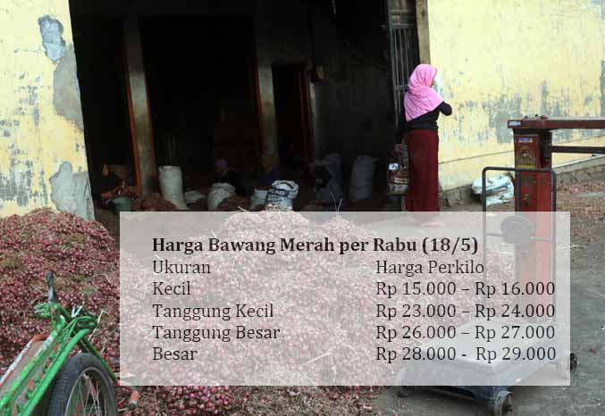 SIAP JUAL: Bawang yang dijual pembeli di Pasar Bawang Dringu. Hampir semua jenis bawang merah yang dijual mengalami kenaikan harga. (Foto: Zainal Arifin/Jawa Pos Radar Bromo)