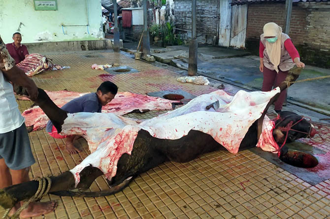 LEBIH KETAT: Suasana penyembelihan sapi di rumah potong hewan (RPH) Bangil. (Foto: Mukhamad Rosyidi/Jawa Pos Radar Bromo)