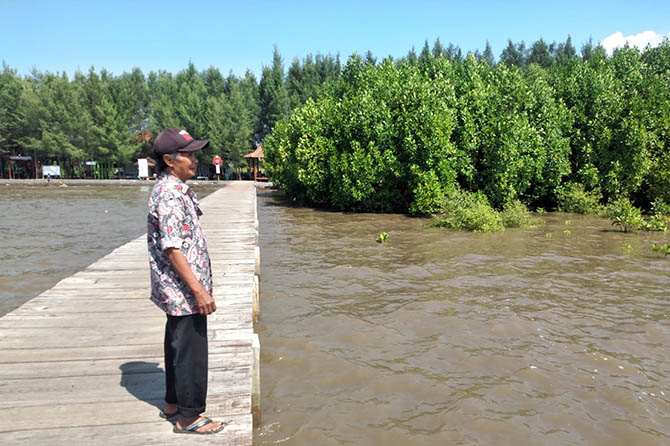 JUJUKAN WISATAWAN: Syamsuri menanam pohon mangrove sejak tahun 1989 dan menebang rawa. Kini Syamsuri menikmati hasil perjuangannya di Pantai Bahak Indah. (Fuad Alyzen/Jawa Pos Radar Bromo)