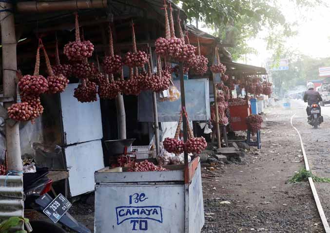 STOK TAK BANYAK: Pedagang bawang di Pasar Bawang Dringu menunggu pembeli. Saat ini permintaan bawang dari luar Probolinggo sedang banyak-banyaknya. (Foto: Dok. Radar Bromo)
