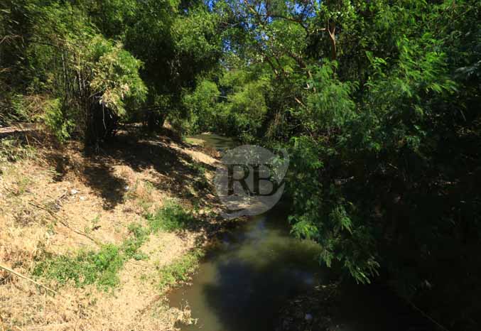 KERAP MELUAP: Sungai Kedunggaleng yang membentang di perbatasan Kota-Kabupaten Probolinggo. (Foto: Zainal Arifin/Jawa Pos Radar Bromo)