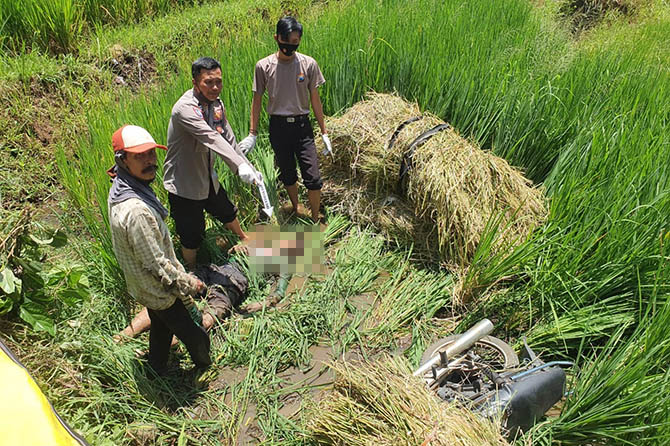TAK BERNYAWA: Polsek Gading melakukan olah TKP ditemukannya mayat di Dusun Sentong, Desa Wangkal, Kecamatan Gading. (Polsek Gading for Radar Bromo)
