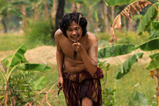 ANCAM APARAT: Thoriq yang membawa celurit dan menantang duel saat dikepung polisi dan TNI yang mengepungnya di persawahan Desa Kalisat, Kecamatan Rembang, Selasa (27/9) siang. (Foto: M Zubaidillah/Jawa Pos Radar Bromo)