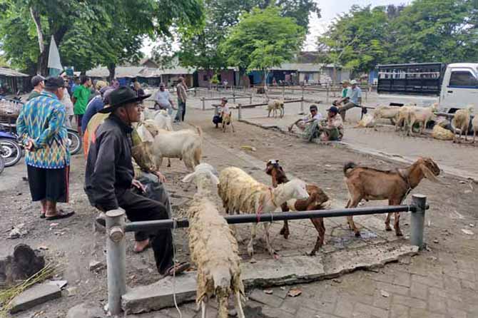 CARI NAFKAH: Para pedagang duduk di antara kambing-kambing dagangan yang mengembik di Pasar Pandaan. Petugas datang memantau. (Foto: Rizal F Syatori/Jawa Pos Radar Bromo)