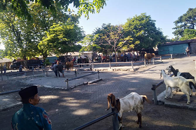 MASIH SEPI: Aktivitas pasar hewan di Pandaan yang masih sepi sejak dibuka kembali. (Rizal Syatori/Radar Bromo)