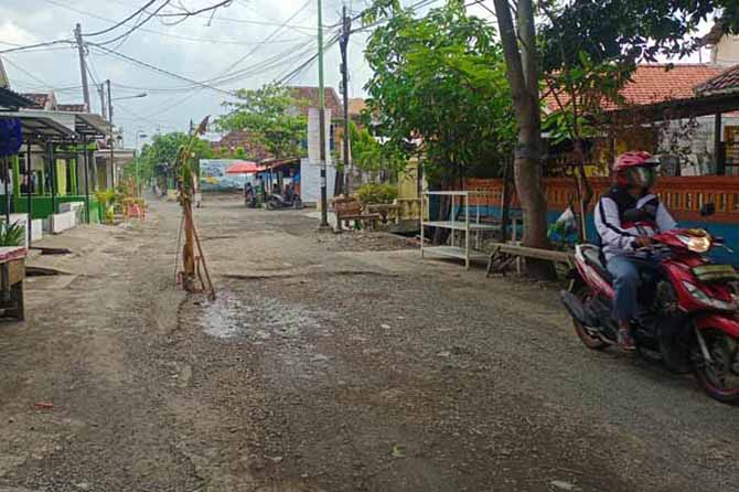 TUNGGU PERBAIKAN: Kondisi Jalan Lumbang Bolong yang masih ditanami pohon pisang oleh warga. (Foto: Iwan Andrik/Jawa Pos Radar Bromo)