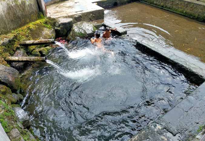 SEGAR: Anak-anak mandi di kolam atau jedingan putra, yang berada di lokasi Sumber Kambang, Dusun Beji Ledok, Desa Sumbersuko, Kecamatan Purwosari. (Foto: Rizal F. Syatori/Jawa Pos Radar Bromo)