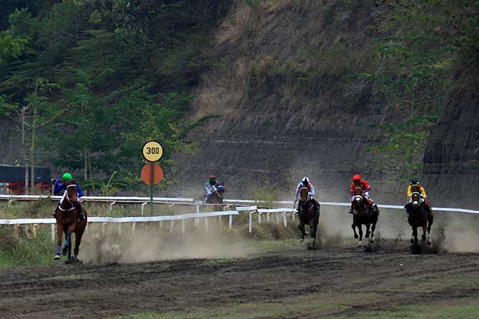 UNJUK KEBOLEHAN: Sejumlah kuda pacu saat mengikuti Presiden Cup di gelanggang Ki Ageng Astrojoyo, Kejayan. (Mokhammad Zubaidillah/ Radar Bromo)