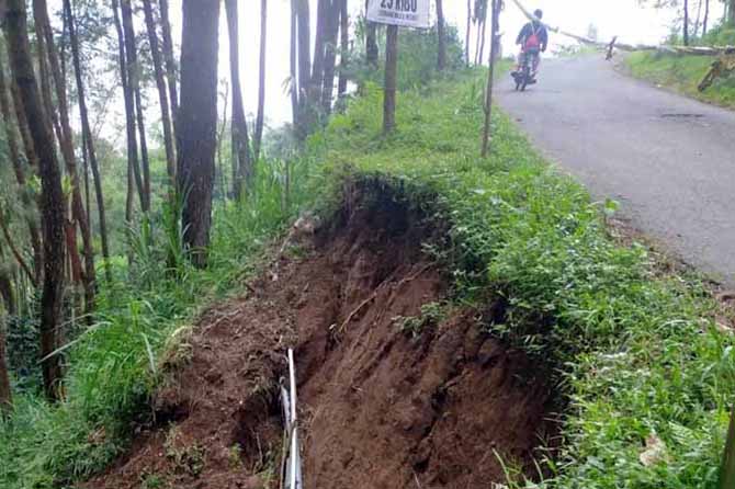 LONGSOR: Plengsengan di tepi jalan kawasan Desa Kayukebek, Kecamatan Tutur, ambles ke lereng. (Foto: Rizal F Syatori/Jawa Pos Radar Bromo)