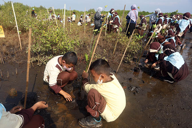 PEDULI LINGKUNGAN: Sejumlah siswa SDIT Permata Kota Probolinggo, menanam mangrove di Pantai Permata Pilang, Kecamatan Kademangan, Kota Probolinggo, Sabtu (26/11). (Zainal Arifin/Jawa Pos Radar Bromo)