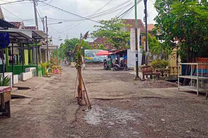TUNGGU PERBAIKAN: Jalan Lumpang Bolong saat ditanami pohon pisang oleh warga beberapa waktu lalu sebagai bentuk protes. (Iwan Andrik/Radar Bromo)