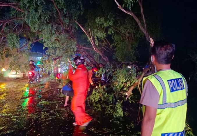 EVAKUASI: Polres Probolinggo melakukan evakuasi pohon tumbang di Jalan Raya Desa Karangpranti. (Foto : Polres Probolinggo For Jawa Pos Radar Bromo)