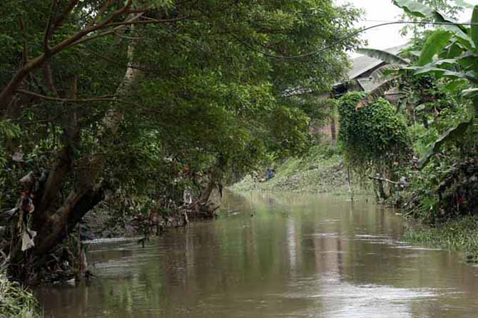 EKOSISTEM: Muara di Sungai Masangan yang diyakini masih banyak terdapat buaya.(Foto: Zubaidillah/Jawa Pos Radar Bromo)